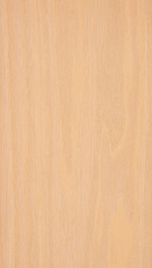 Ash wood veneer grain sample