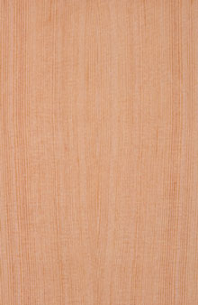Fir wood veneer grain sample